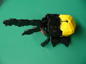 ヘラクレスオオカブト：羽のあたりが実感的！