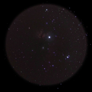 お～、馬頭星雲もうっすらわかる！