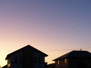 夜明け前のグラデーションにくっきりと細い月